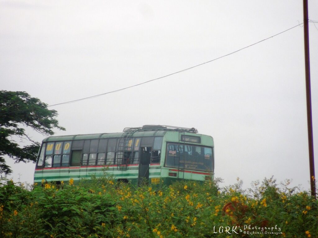 TNSTC TN 38 N 2098 Gudalur - Moyar
