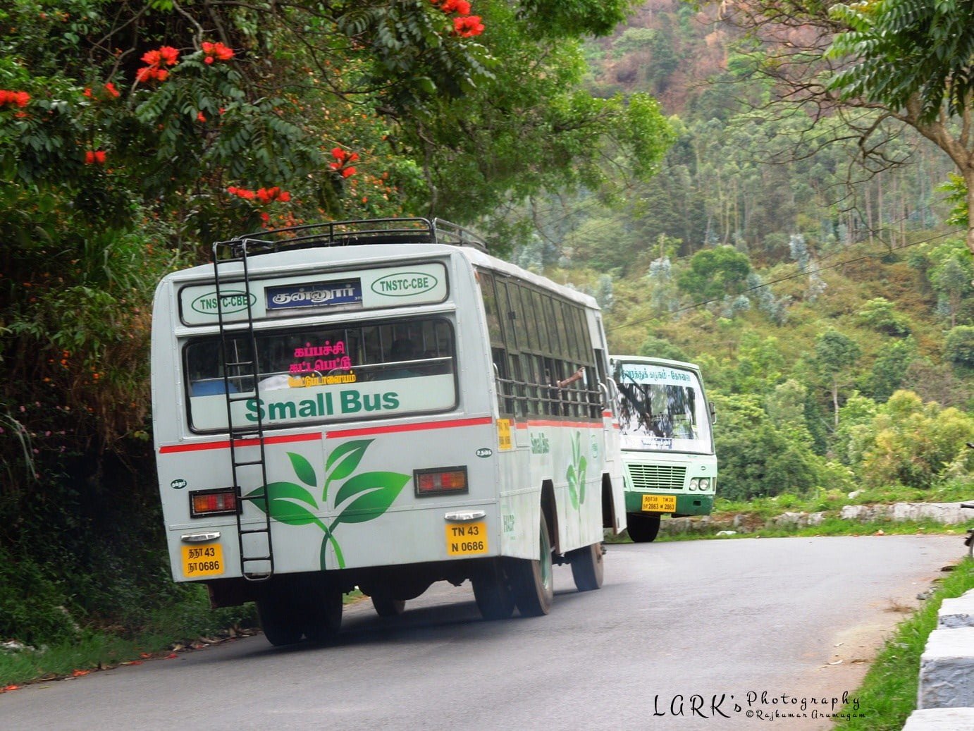 TNSTC TN 43 N 0686 Mettupalayam to Kappachi Bus Timings via Coonoor, Kenthorai