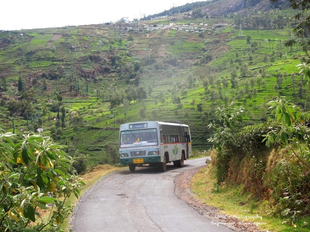 TNSTC TN 43 N 0686 Mettupalayam - Kappachi