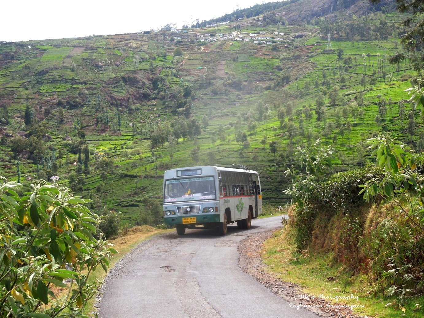 TNSTC TN 43 N 0686 Mettupalayam to Kappachi Bus Timings via Coonoor, Kenthorai