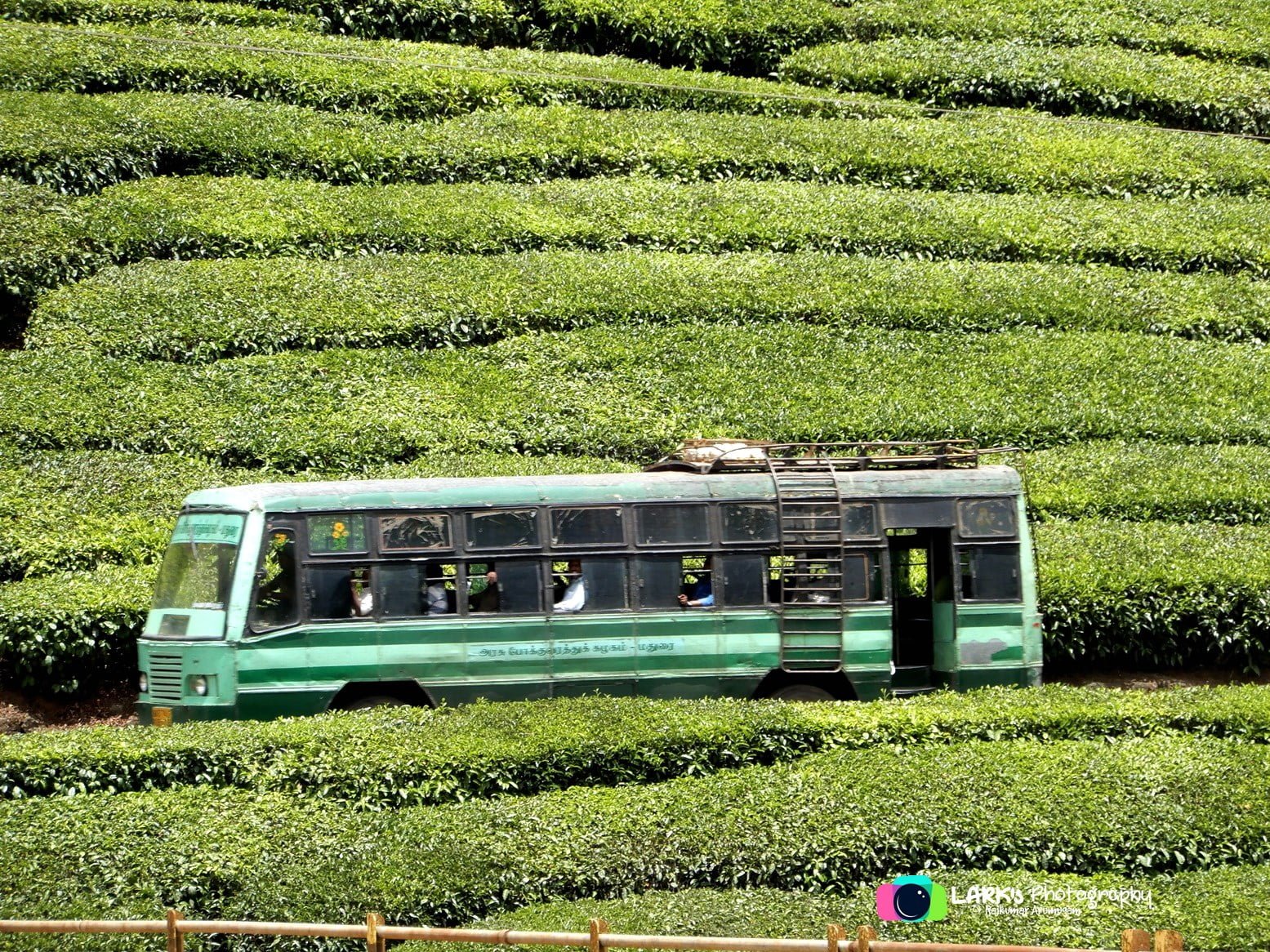 TNSTC TN 57 N 1395 Chinnamanur to Megamalai Bus Timings 