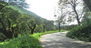 Mannarkkad - Mukkali Road