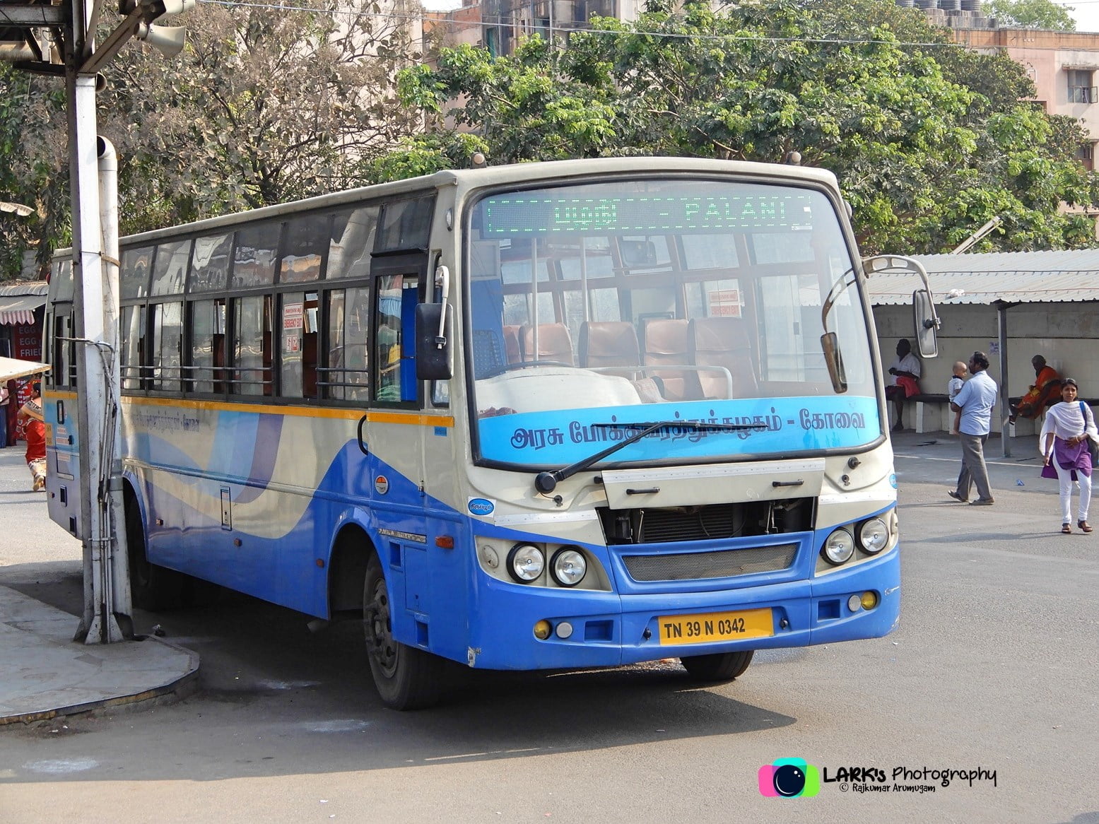 TNSTC TN 39 N 0342 Coimbatore - Palani Bus Timings 