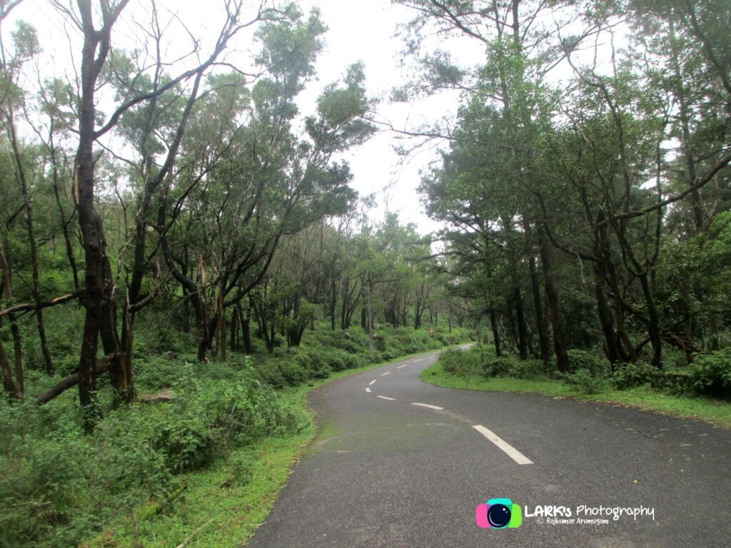 Ponmudi Hills