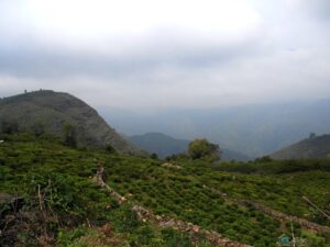 Places to visit in Nilgiris - Hiriyaseegai Village