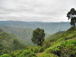 Places to visit in Nilgiris - Hiriyaseegai Village