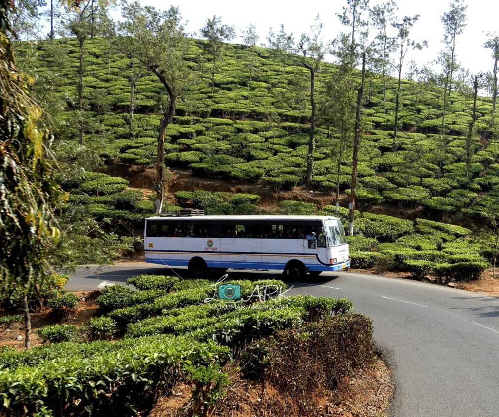 Kozhikode to Gudalur Bus Timings via Thamarassery - KSRTC RPC 940