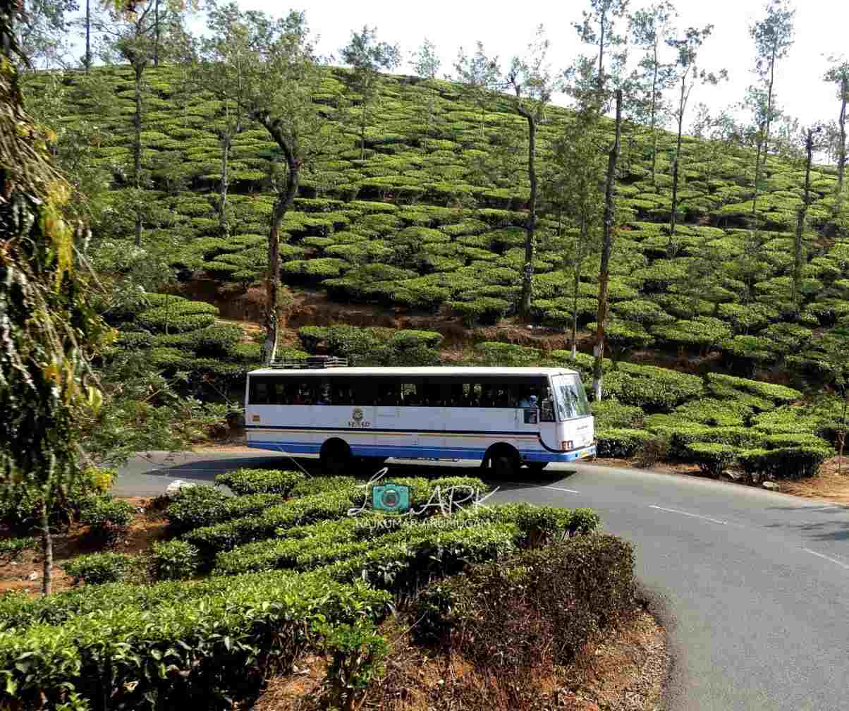 Kozhikode to Gudalur Bus Timings via Meppadi - KSRTC RPC 940