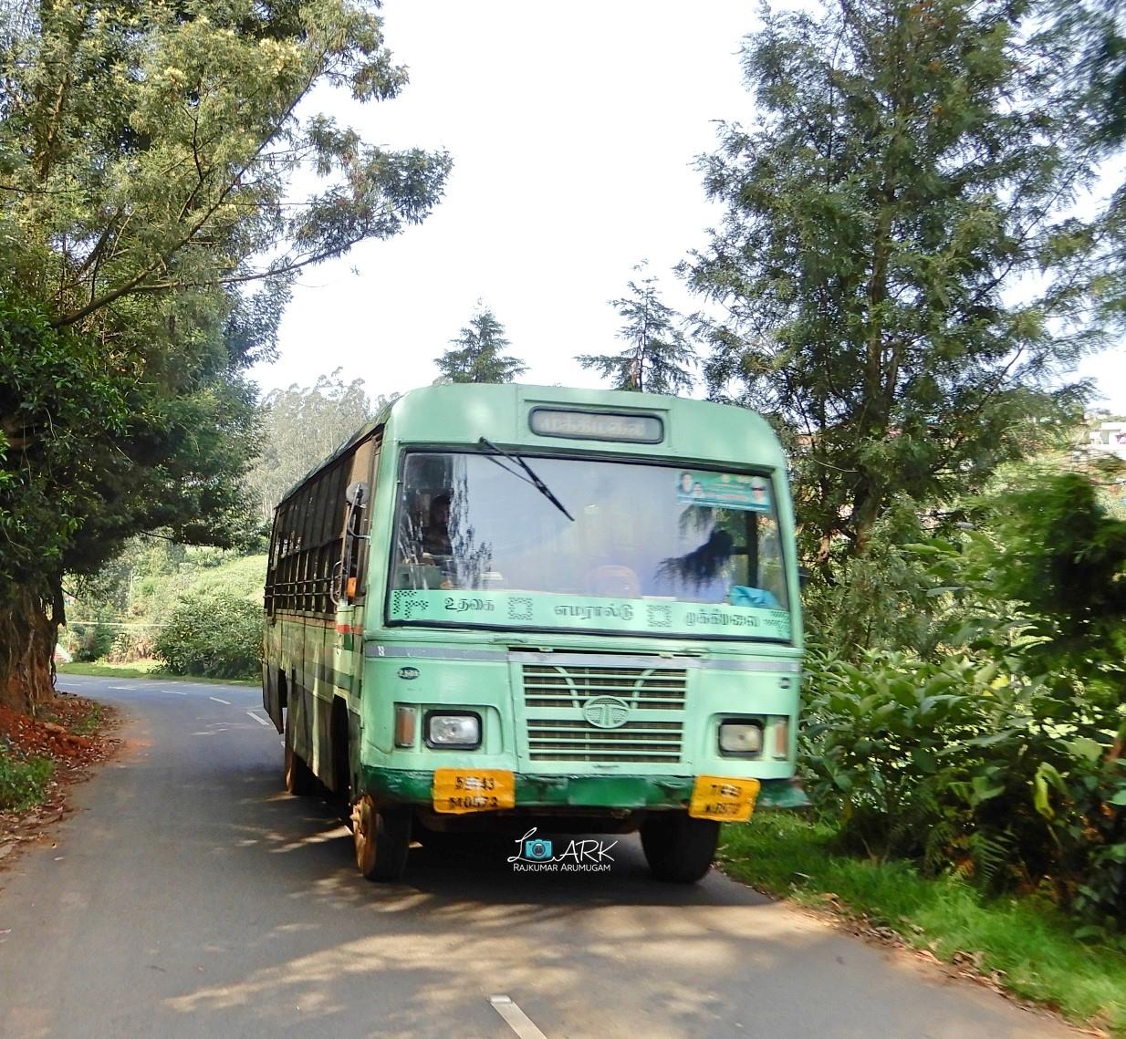 TNSTC TN 43 N 0573 Ooty - Emerald - Mukkimalai Bus Timings