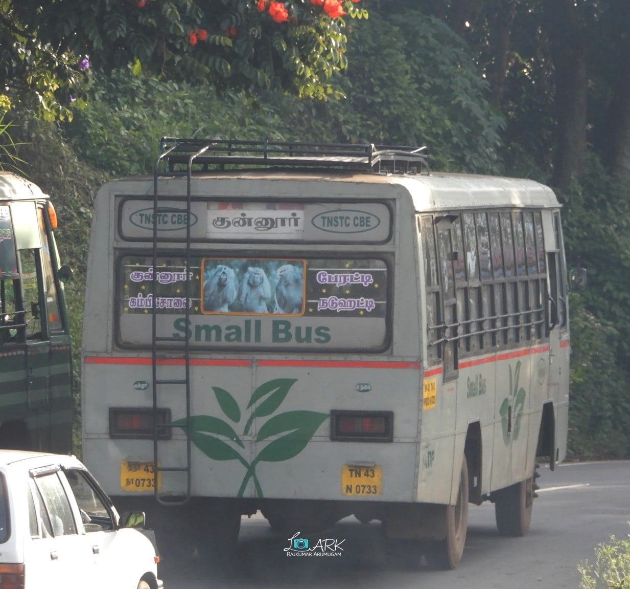 TNSTC TN 43 N 0733 Coonoor - Bearhatty Bus Timings