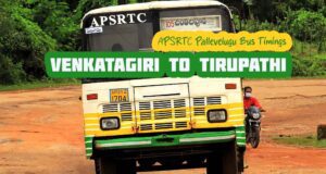 APSRTC Pallevelugu Venkatagiri to Tirupathi Bus Timings