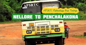 APSRTC Pallevelugu - Nellore to Penchalakona Bus Timings