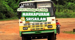 APSRTC Pallevelugu - Markapuram to Srisailam Bus Timings
