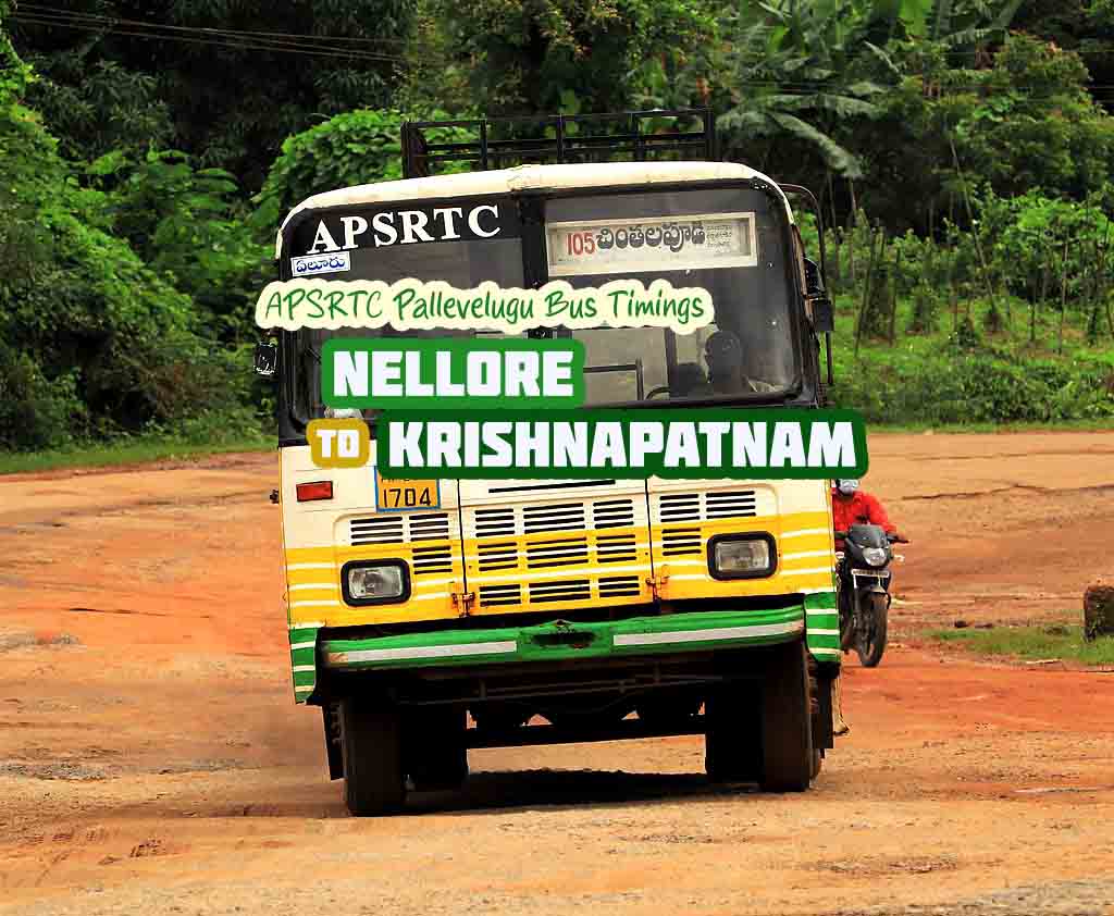 Nellore to Krishnapatnam APSRTC Bus Timings