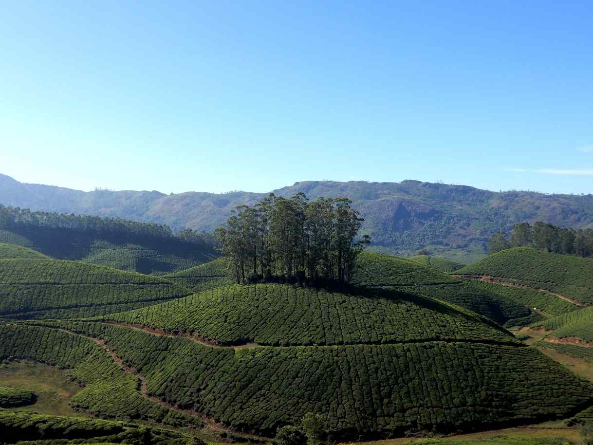 KSRTC Munnar Royal View Double-Decker Bus Route - Signal Point