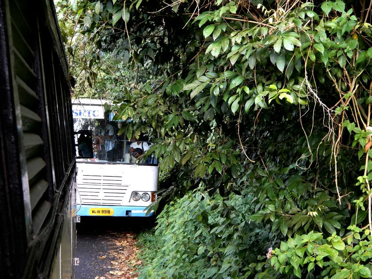The Road Less Travelled Bus Travel Through Natural Wonders