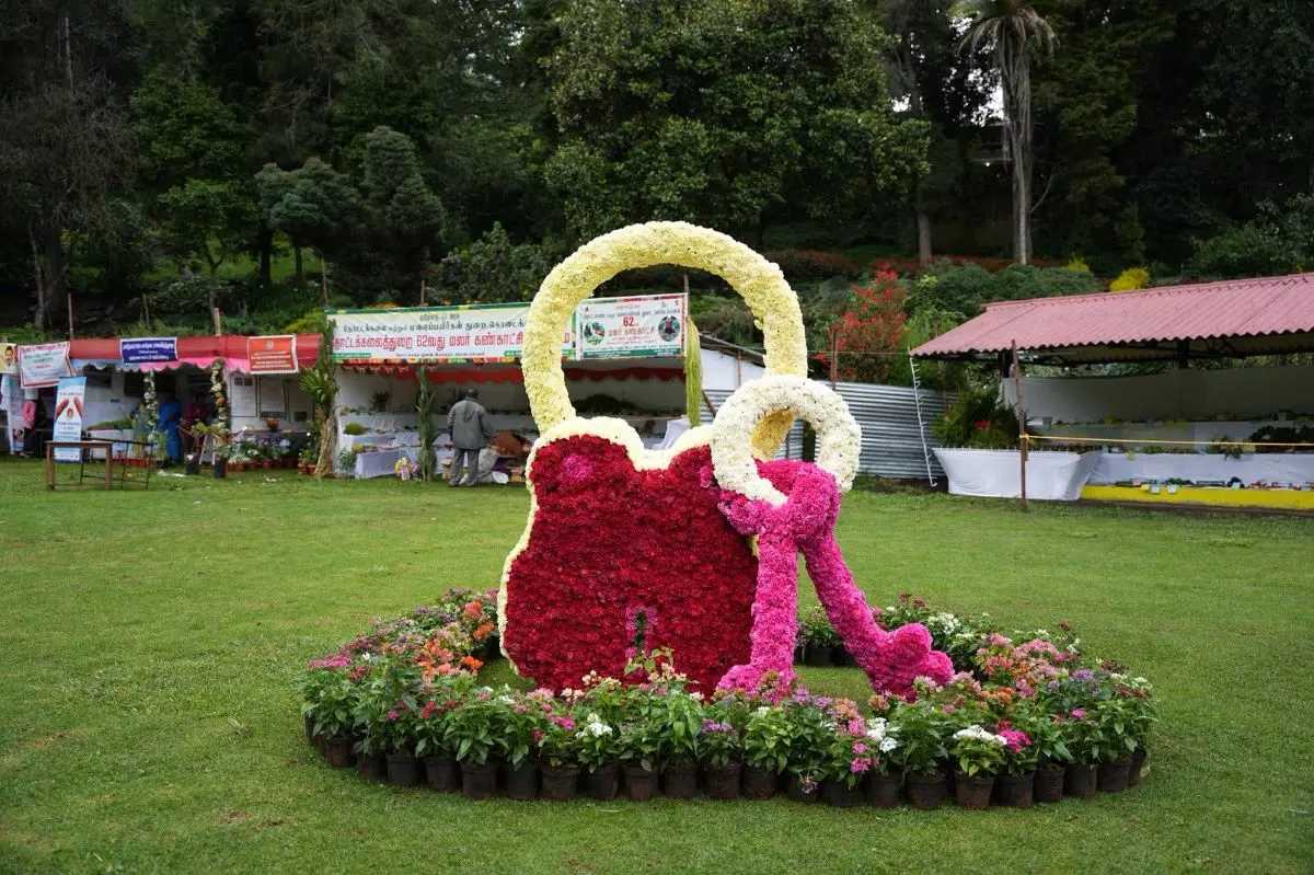 Ooty 2026 Summer Festival Travel Guide - Routes, Traffic Rules & E-Pass