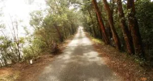 Kinnakorai Road