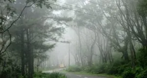 Ponmudi Road