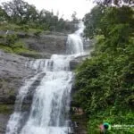 Cheeyappara Waterfalls, Adimaly, Munnar