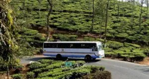 KSRTC RPC 940 Kozhikode - Gudalur Bus Timings