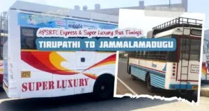APSRTC Tirupathi to Jammalamadugu Bus Timings