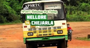 APSRTC Pallevelugu - Nellore to Chejarla Bus Timings